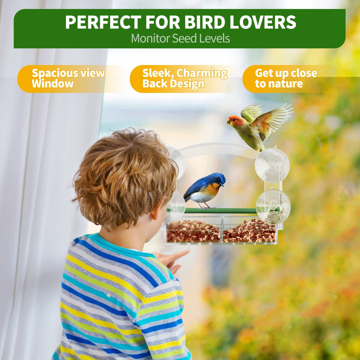 PHANCIR Clear Window Bird Feeder with Suction Cups