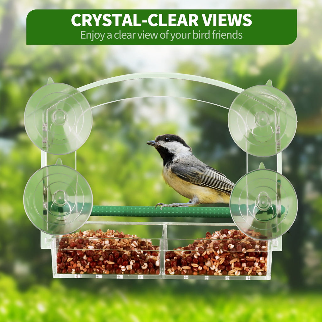 PHANCIR Clear Window Bird Feeder with Suction Cups