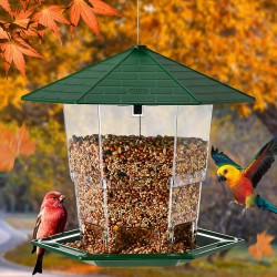 PHANCIR Bird Feeder for Outdoor Hanging, 2.2 Lbs Capacity Latch Feature Heavy Duty Water Resistance Squirrel-Proof Bird Feeders Wild Bird Seed for Outside Garden Yard Decoration Green