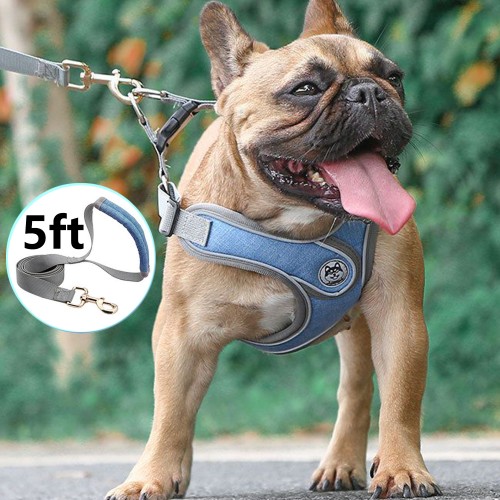 PHANCIR Dog Harness Choke-Free Double Padded Vest with Adjustable Neck and Chest Blue