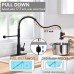 PHANCIR Kitchen Faucet with Pull Down Sprayer, Brushed Nickel Commercial Spring Kitchen Sink Faucet Single Handle Pull Out Sink Faucets with Deck Plate Suit to 1 or 3 Holes Black
